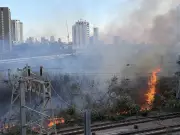 Why Trackside Fires Are Surging Across London's Railway Network