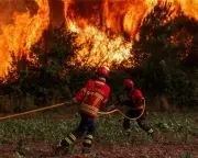 Wildfires Rage Across Southern Europe, Forcing Evacuations and Disrupting Tour de France