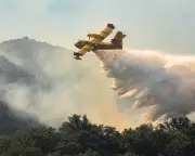 Wildfires Rage Across Southern Europe, Forcing Thousands to Flee
