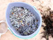 Wildlife Charity Praises Community After Tyne Nurdle Spill