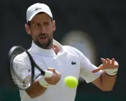 Wimbledon 2026: Djokovic, Sabalenka, Sinner and Gauff in Action on Day Seven