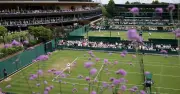 Wimbledon to Replace Hydrangeas with Drought-Resistant Plants Amid Rising Temperatures