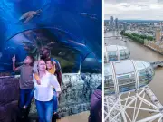 Win a Family Ticket to London Eye and SEA LIFE Aquarium