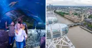 Win a Family Trip to London Eye and SEA LIFE Aquarium