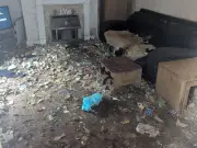 Woman banned from keeping animals after dogs found in filthy home