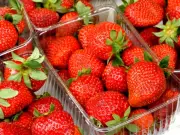 Woman compares Aldi, Tesco and Waitrose strawberries – results surprise