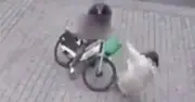 Woman Hit by 10-Year-Old on E-Bike in London Needs Three Operations