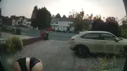 Woman in Underwear Caught on Doorbell Stealing Milk at 5am