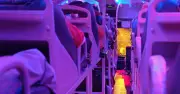 Woman Raves About Europe's First Sleeper Bus, Toilet Surprises Many