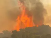 Woman Recalls Terror of Waking to Huge Blaze Above Her North Wales Home