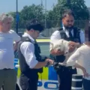 Woman Scolded by Police After Dog Rescued from Hot Car in Heatwave