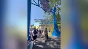 World of Paw Patrol at Chessington: Long Queues Mar Family Fun