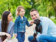 Yellow Dog Gear Signals 'Do Not Approach' Warns Safety Expert