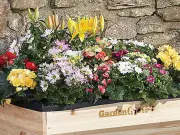 Yimbly's Wooden Planter Beats Amazon Price for Gardeners