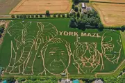 York Maze Cuts 15-Acre Design Celebrating David Attenborough’s 100th Birthday