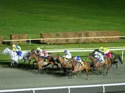 Zatsgood Newsboy's Nap for Kempton Thursday Evening