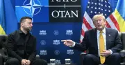 Zelensky's Witty Retort to Trump's Moscow Gaffe Goes Viral