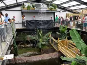 Zoo Owners Speak Out After Boy, 3, Thrown into Crocodile Enclosure