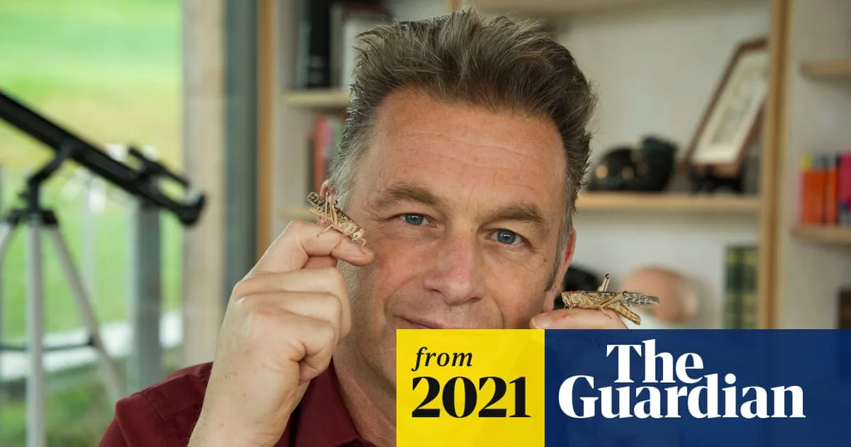Chris Packham's Animal Einsteins: The cleverest minds in nature