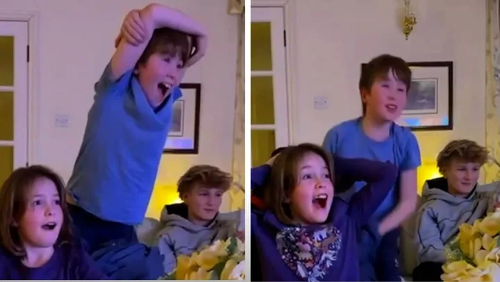 Anton Du Beke's twins react to his Masked Singer unmasking as Arctic Fox