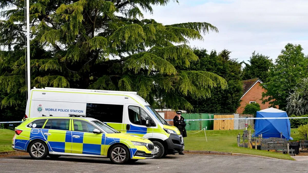 Teen charged with attempted murder after golf course stabbing