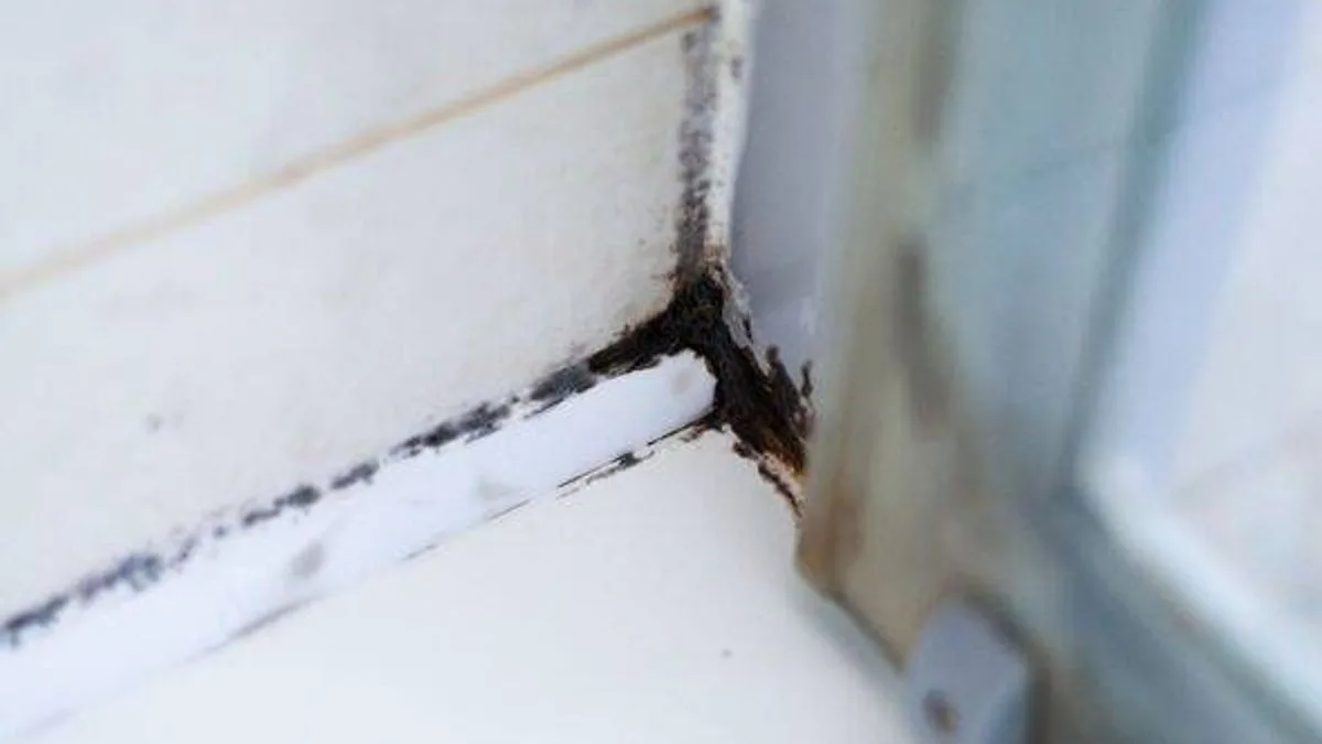 Cleaning fans say Mould Magic dissolves bathroom sealant mould in two hours