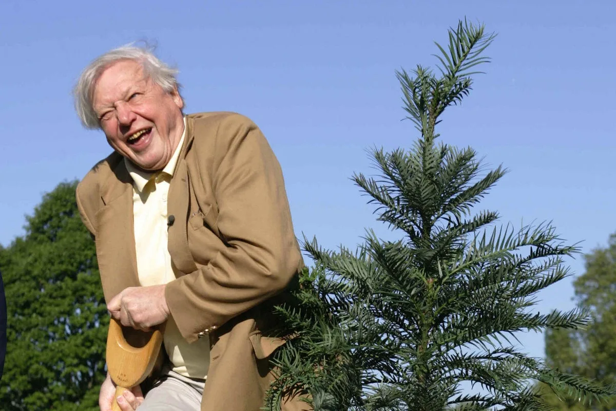 Attenborough's menagerie: the species named in honour of Sir David