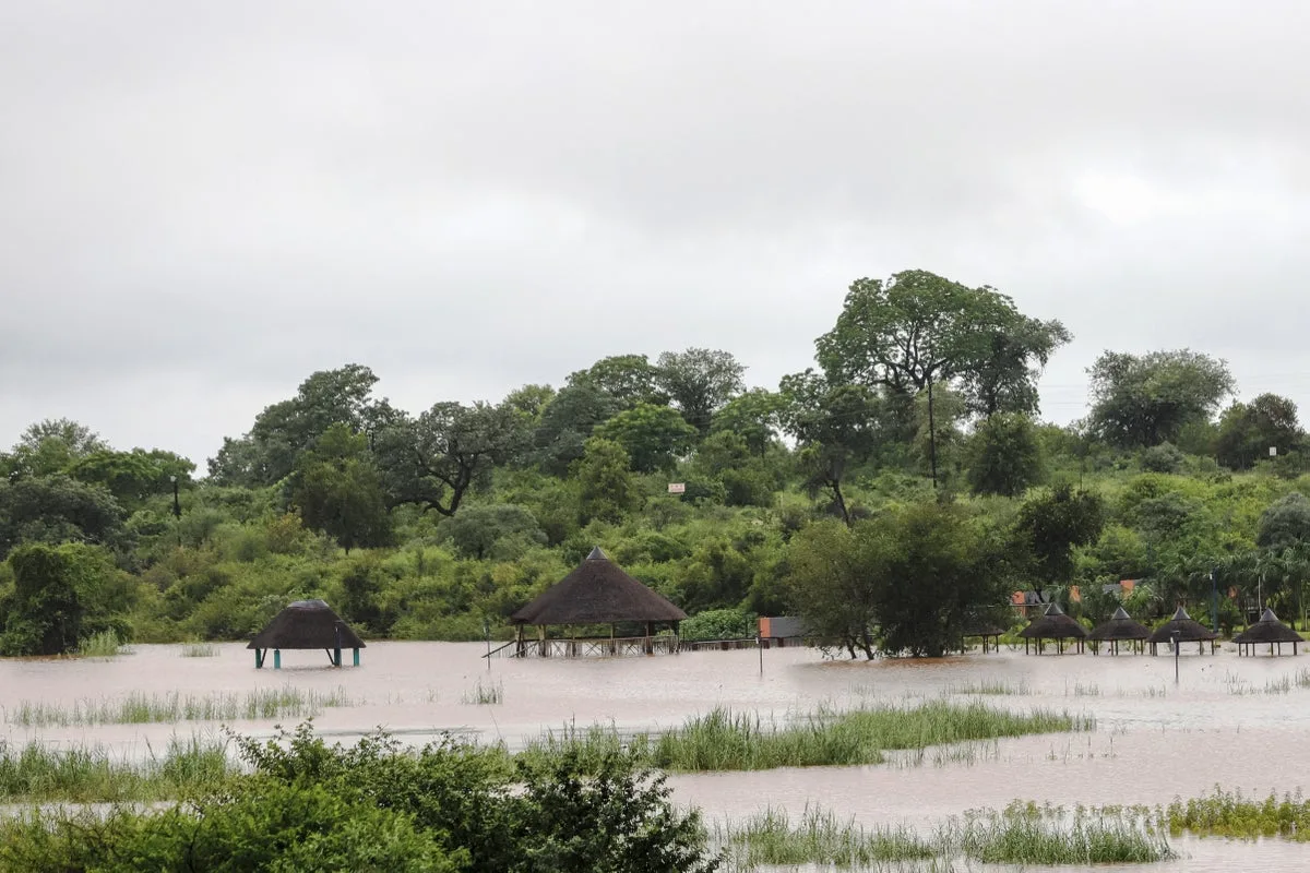Kruger Park floods: Five-year recovery and millions needed, minister says