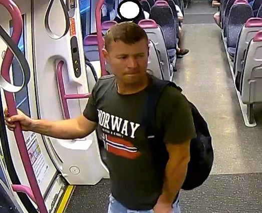 Police release CCTV after man exposes himself on London-to-Southend train