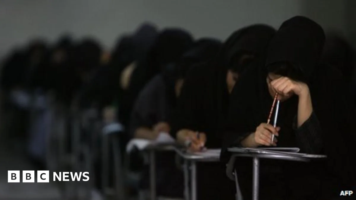 Iranian university bans on women prompt concern over education rights