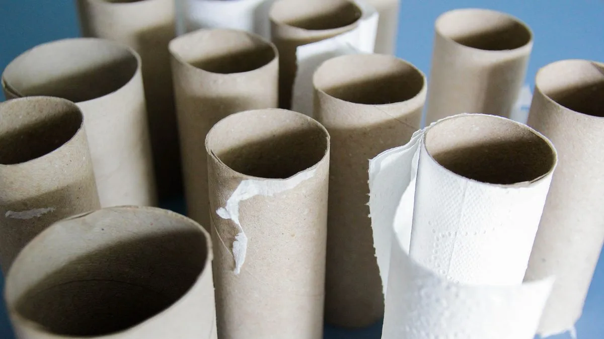 Gardeners urged to save toilet rolls for 'vital' spring planting uses
