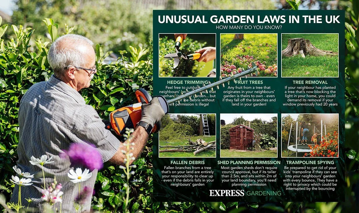 Six surprising garden laws every UK homeowner should know