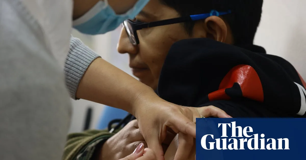 Yellow fever and dengue surge in South America as climate crisis fuels disease spread