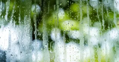 £1 kitchen staple that helps prevent window mould and condensation