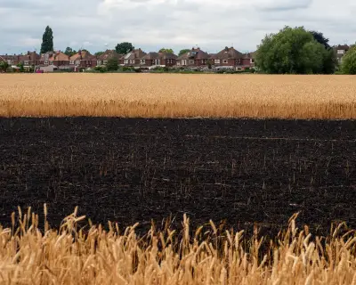 10 climate crisis policies Britain needs now