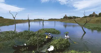 15 dead, 27 missing after ferry capsizes on crocodile-infested Lake Kariba