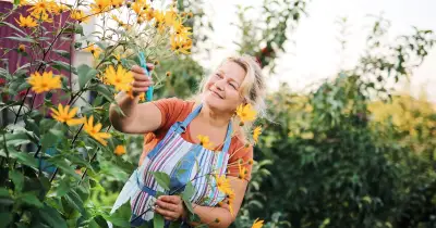 5 Essential August Gardening Jobs from Expert James Ewens