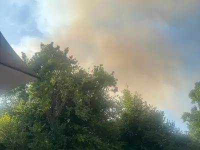 A31 New Forest wildfire: drivers told to flee as 160 calls made