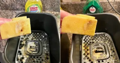 Air fryer test: Elbow Grease beats Fairy Liquid in cleaning showdown