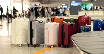 Avoid Brightly Coloured Suitcases to Prevent Luggage Loss, Expert Warns