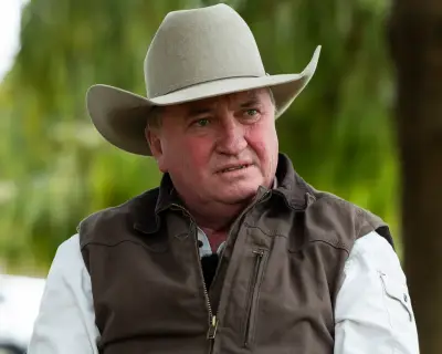 Barnaby Joyce defends One Nation as 'gayest party' after candidate's homophobic comments