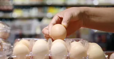 Bird Flu Fears Drive Egg Price Spike as Farmers Boost Biosecurity