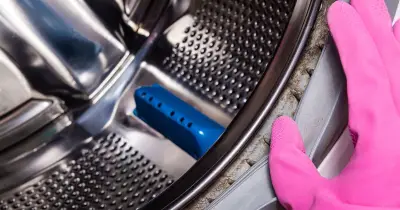 Black Mould on Washing Machine Seals Gone in 10 Minutes with Vinegar