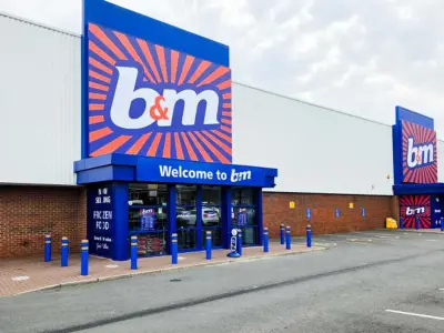B&M £8 Animal Print Storage Unit in New Deal