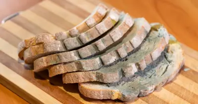 Bread stays fresh days longer with one household item