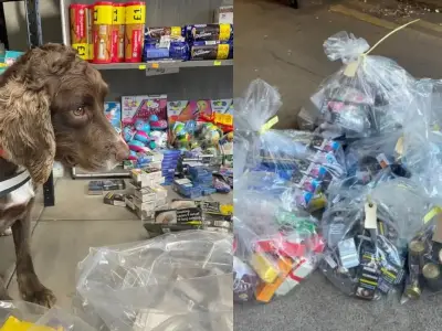 Bury seizes illegal goods in crackdown on dodgy shops