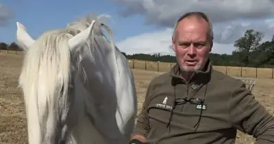 Cannon Hall Farm's shire foal Iris dies as fans send tributes