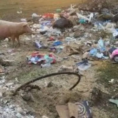 Career criminal who dumped waste on green belt avoids jail