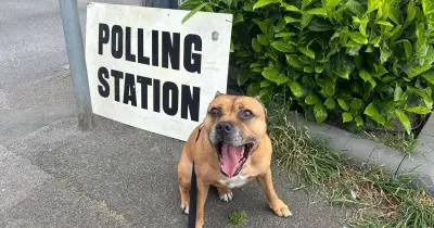 Clacton by-election: No exit poll as Farage faces 33 rivals