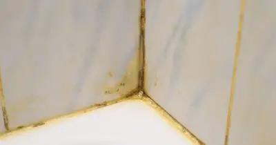 Cleaner's 5-minute steam trick melts grout stains naturally